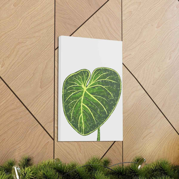 Philodendron Gloriosum Canvas - Stretched Canvas Art Print | Matte Indoor Wall Art