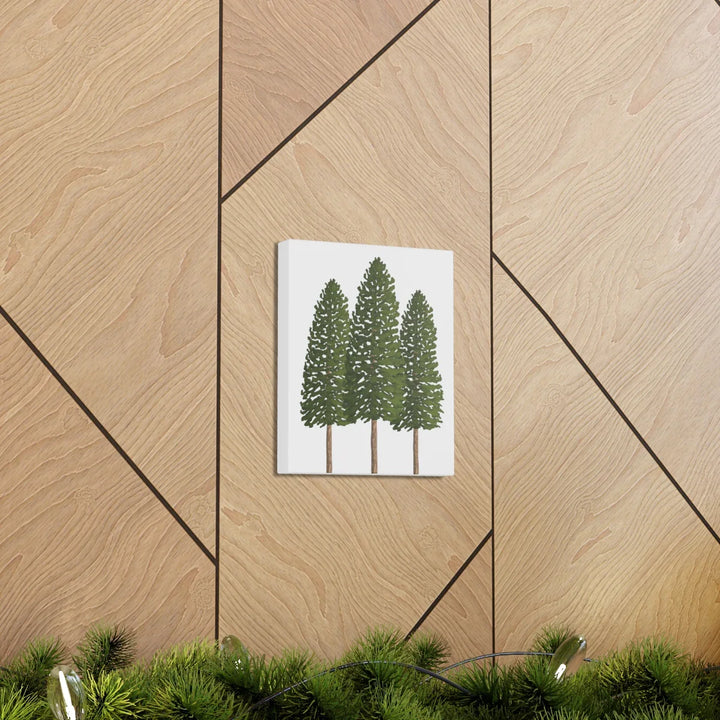 Ponderosa Pine Canvas - Large Stretched Cotton Canvas Art Print With Matte Finish