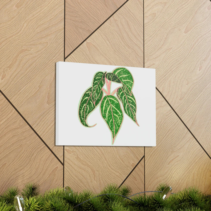 Aglaonema Plant Canvas | Sparkling Plant Artwork - Colorfast Canvas Art Print Decor