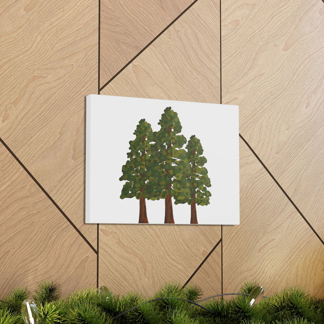 Coastal Redwoods Canvas - Stretched Cotton Canvas Art Print | Matte Finish Wall Hanging Artwork