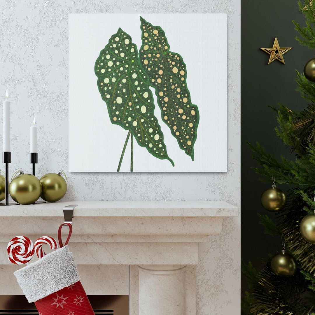 Begonia Maculata Canvas | Premium Canvas Art Print - Matte Finish, Durable Wall Decor - Laura Christine Photography & Design