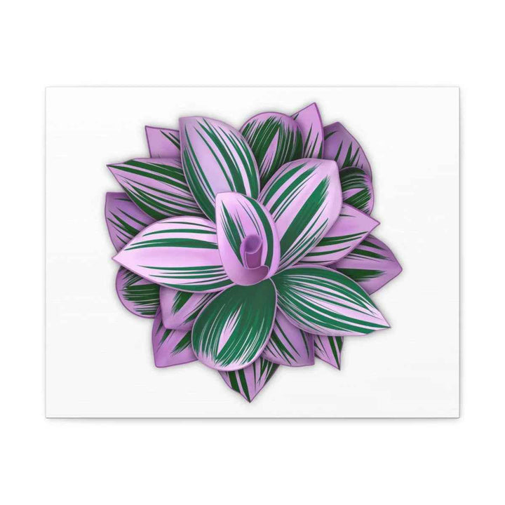 Tradescantia Nanouk Canvas – Botanical Canvas Art Print | Matte Finish Wall Decor