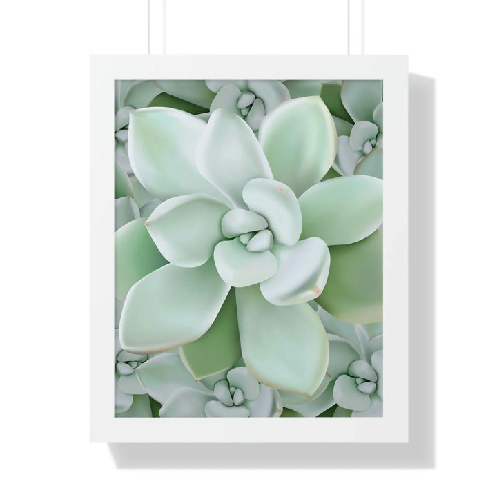 Pachyveria Haagei Succulent Pattern Framed Print, Poster, Printify, Framed, Home & Living, Indoor, Paper, Posters, Laura Christine Photography & Design, laurachristinedesign.com