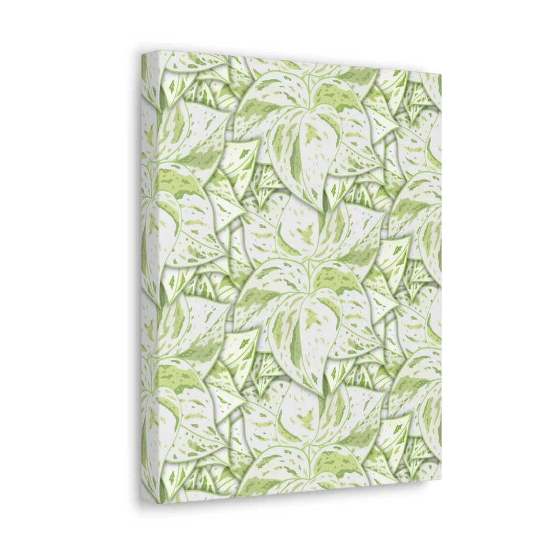 Snow Queen Pothos Canvas – Matte Finish Canvas Art Print | Variegated Botanical Wall Decor
