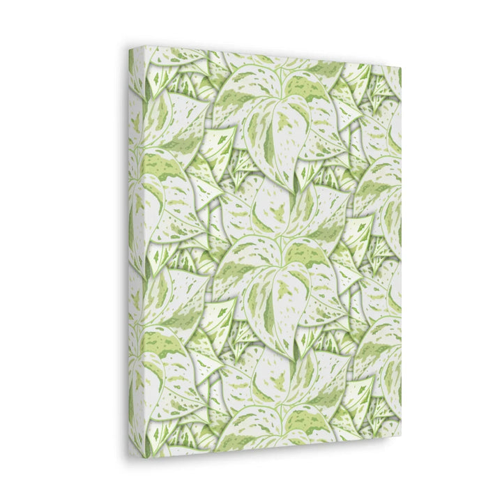 Snow Queen Pothos Canvas – Matte Finish Canvas Art Print | Variegated Botanical Wall Decor