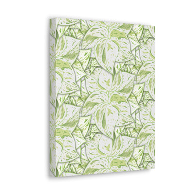 Snow Queen Pothos Canvas