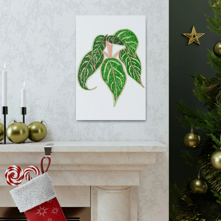 Aglaonema Plant Canvas | Sparkling Plant Artwork - Colorfast Canvas Art Print Decor