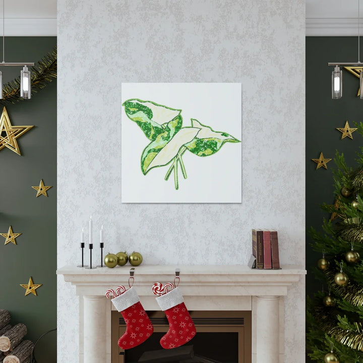 Marble Syngonium Canvas - Botanical Canvas Art Print | Durable Cotton Matte Finish - Laura Christine Photography & Design