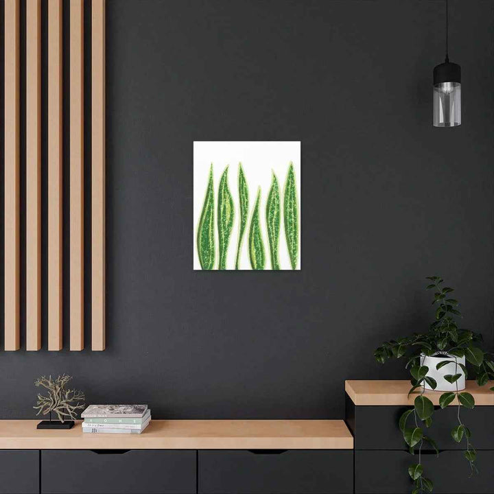 Snake Plant Canvas | Botanical Canvas Decor - Matte Finish Artwork for Living Room