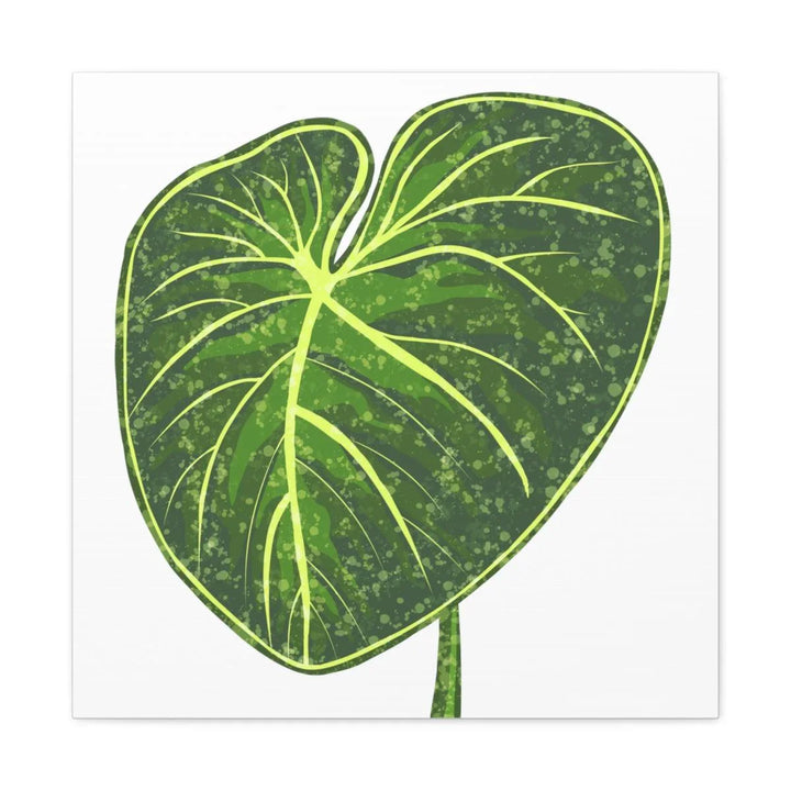 Philodendron Gloriosum Canvas - Stretched Canvas Art Print | Matte Indoor Wall Art - Laura Christine Photography & Design