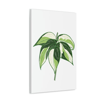 Philodendron 'Cream Splash' Canvas, Canvas, Printify, Art & Wall Decor, Canvas, Hanging Hardware, Home & Living, Indoor, Laura Christine Photography & Design, laurachristinedesign.com
