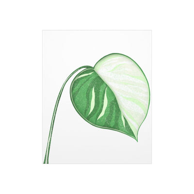 Monstera Albo Print, Poster, Laura Christine Photography & Design, Back to School, Home & Living, Indoor, Matte, Paper, Posters, Valentine's Day promotion, Laura Christine Photography & Design, laurachristinedesign.com