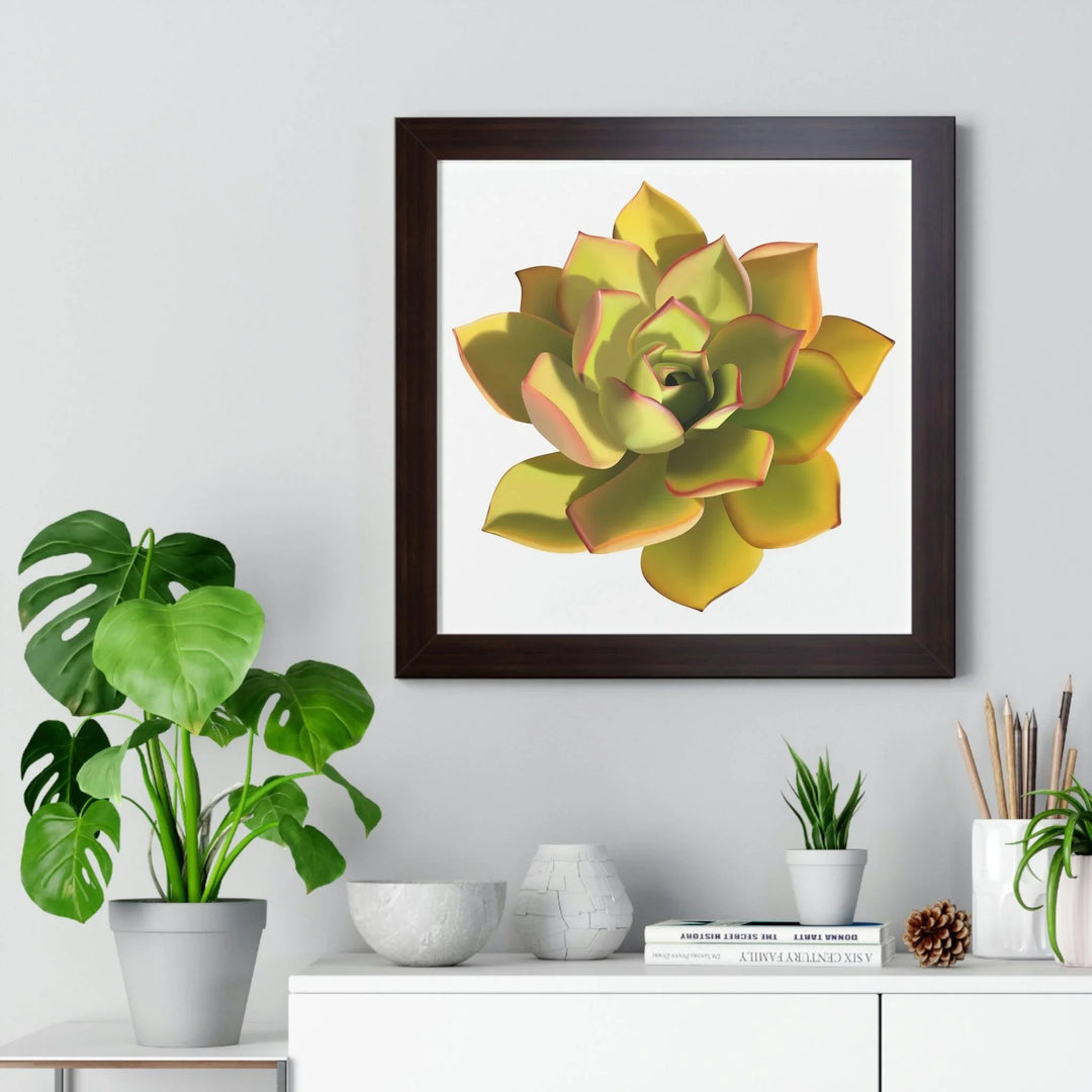 Noble Aeonium Succulent Framed Print, Poster, Printify, Framed, Home & Living, Indoor, Paper, Posters, Laura Christine Photography & Design, laurachristinedesign.com