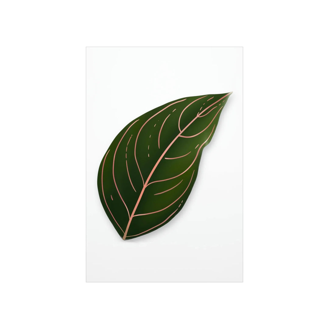 Aglaonema Rotundum Print – Botanical Wall Art on Museum Grade Paper | Unframed