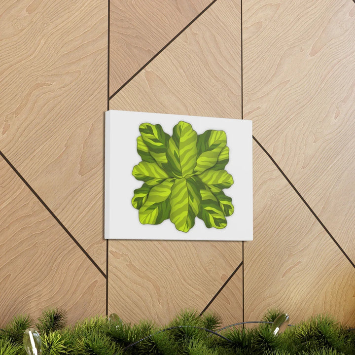 Calathea Yellow Fusion Canvas – Botanical Canvas Print With Unique Leaf Pattern Art - Laura Christine Photography & Design