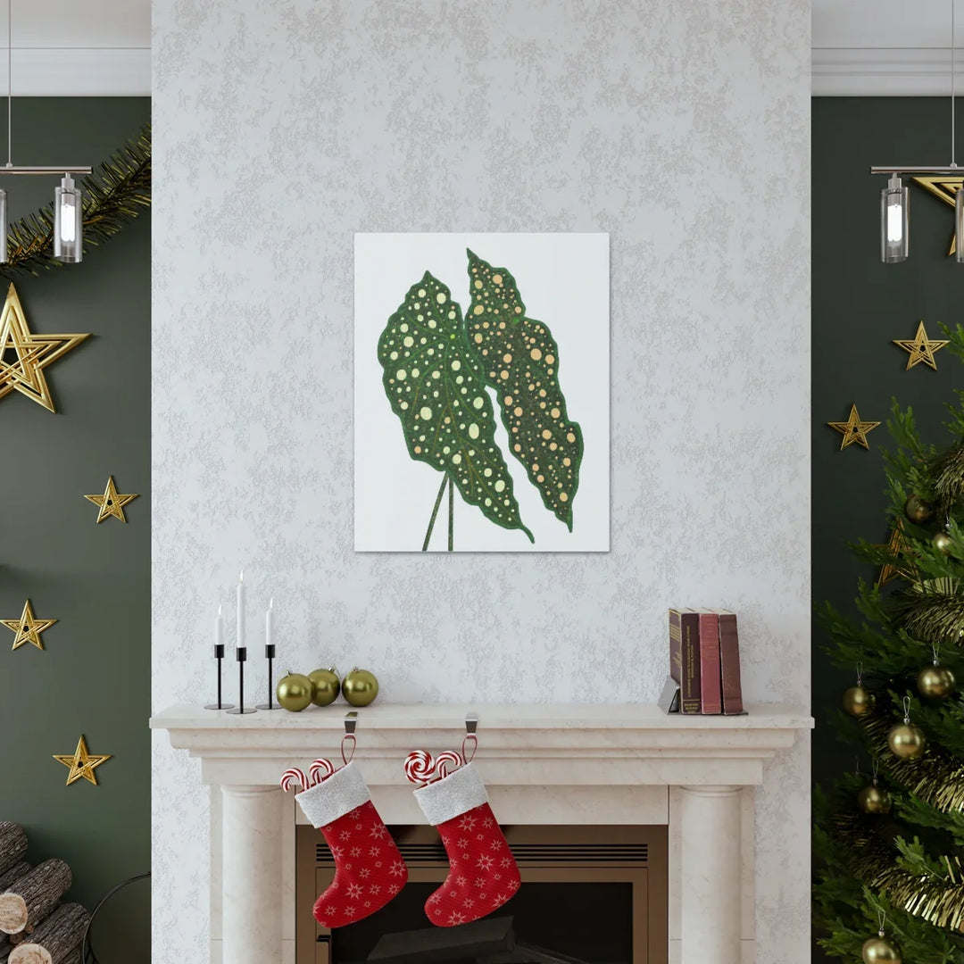 Begonia Maculata Canvas | Premium Canvas Art Print - Matte Finish, Durable Wall Decor - Laura Christine Photography & Design