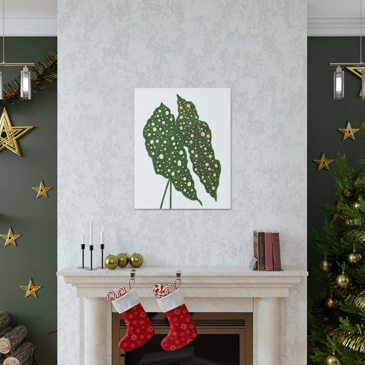 Begonia Maculata Canvas | Premium Canvas Art Print - Matte Finish, Durable Wall Decor - Laura Christine Photography & Design