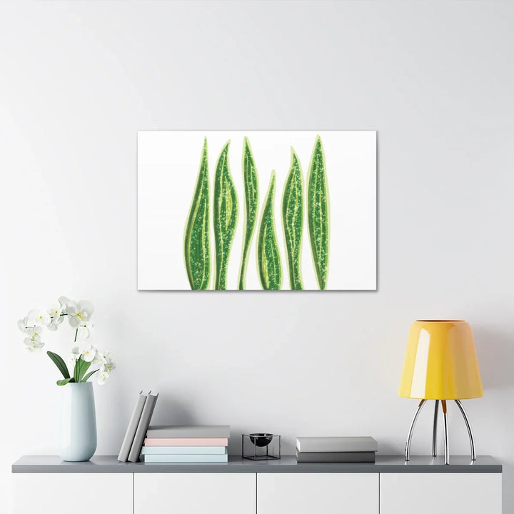 Snake Plant Canvas | Botanical Canvas Decor - Matte Finish Artwork for Living Room - Laura Christine Photography & Design