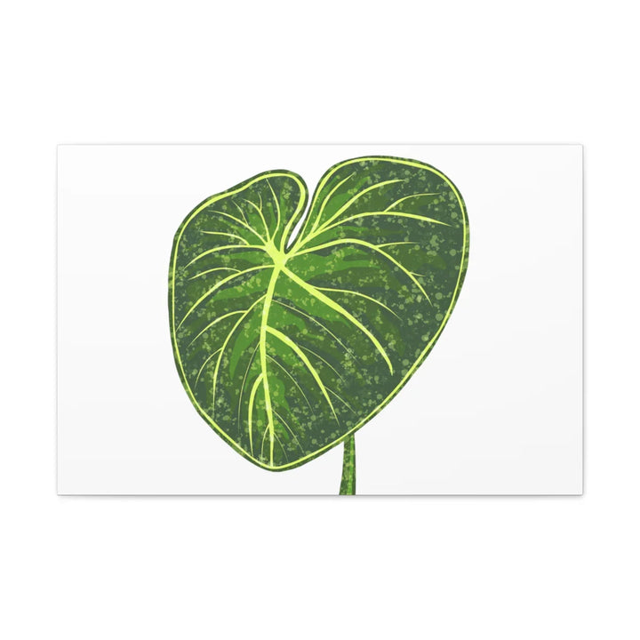 Philodendron Gloriosum Canvas - Stretched Canvas Art Print | Matte Indoor Wall Art - Laura Christine Photography & Design