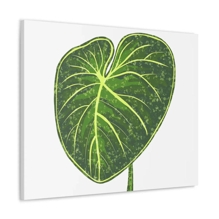 Philodendron Gloriosum Canvas - Stretched Canvas Art Print | Matte Indoor Wall Art - Laura Christine Photography & Design
