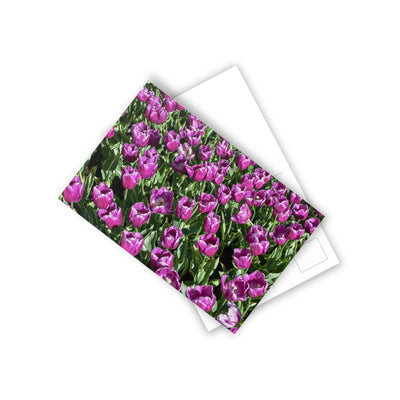 Purple Prince Charles tulips - Postcard, 10-pack, Paper products, Printify, Back to School, Home & Living, Indoor, Matte, Paper, Posters, Laura Christine Photography & Design, laurachristinedesign.com