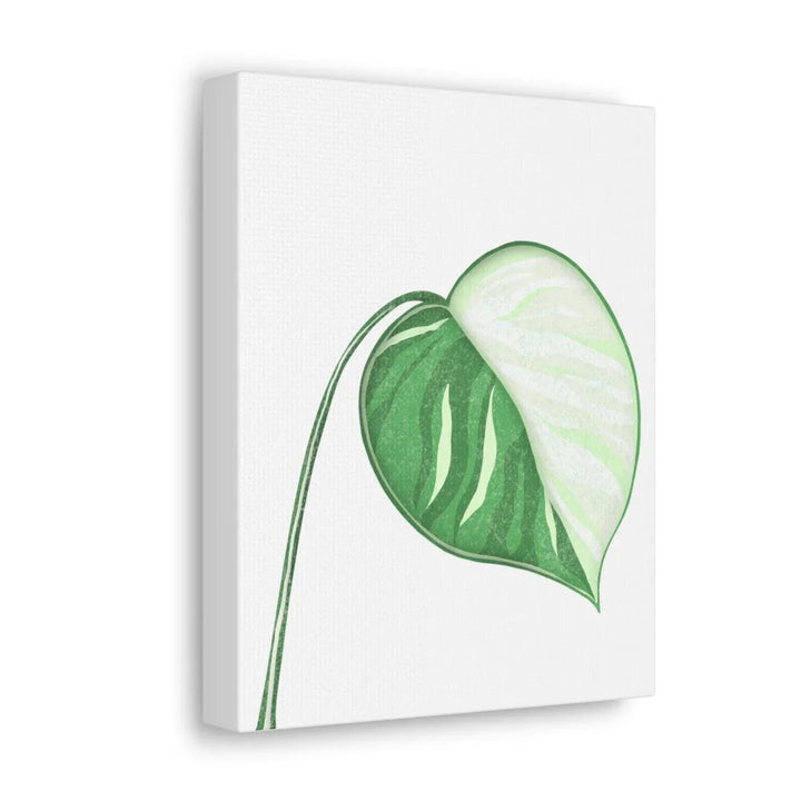 Monstera Albo Canvas | Large Tropical Leaf Artwork - Matte Finish Canvas Art Print - Laura Christine Photography & Design