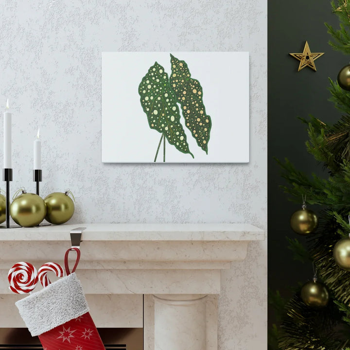 Begonia Maculata Canvas | Premium Canvas Art Print - Matte Finish, Durable Wall Decor - Laura Christine Photography & Design