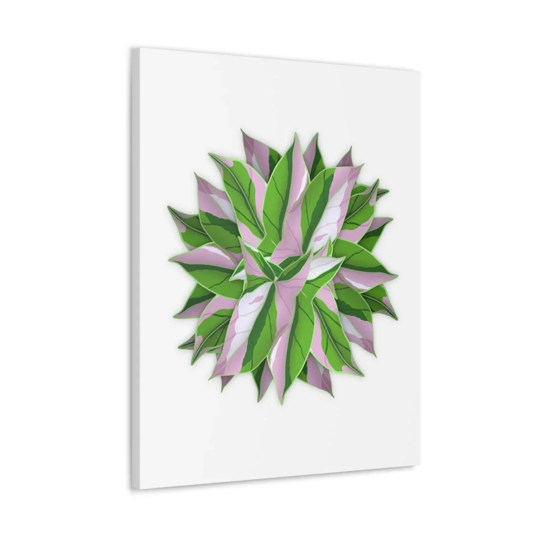 Tricolor Syngonium Canvas - Durable Canvas Art Print With Matte Finish & Botanical Design - Laura Christine Photography & Design