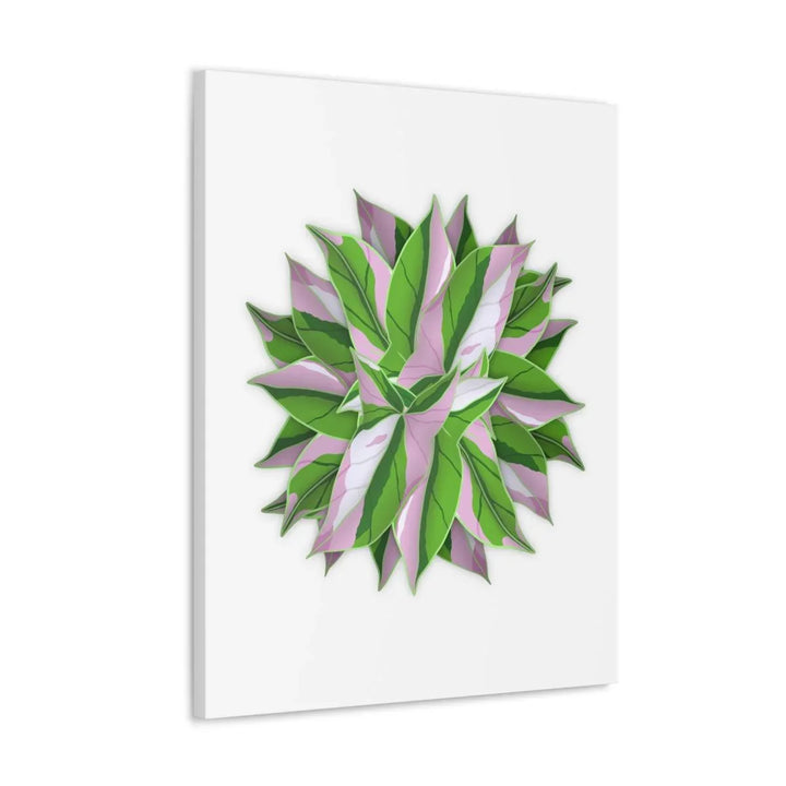 Tricolor Syngonium Canvas - Durable Canvas Art Print With Matte Finish & Botanical Design - Laura Christine Photography & Design