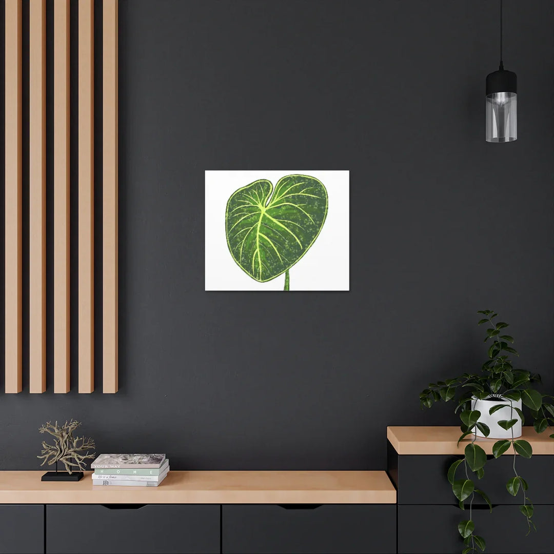 Philodendron Gloriosum Canvas - Stretched Canvas Art Print | Matte Indoor Wall Art - Laura Christine Photography & Design