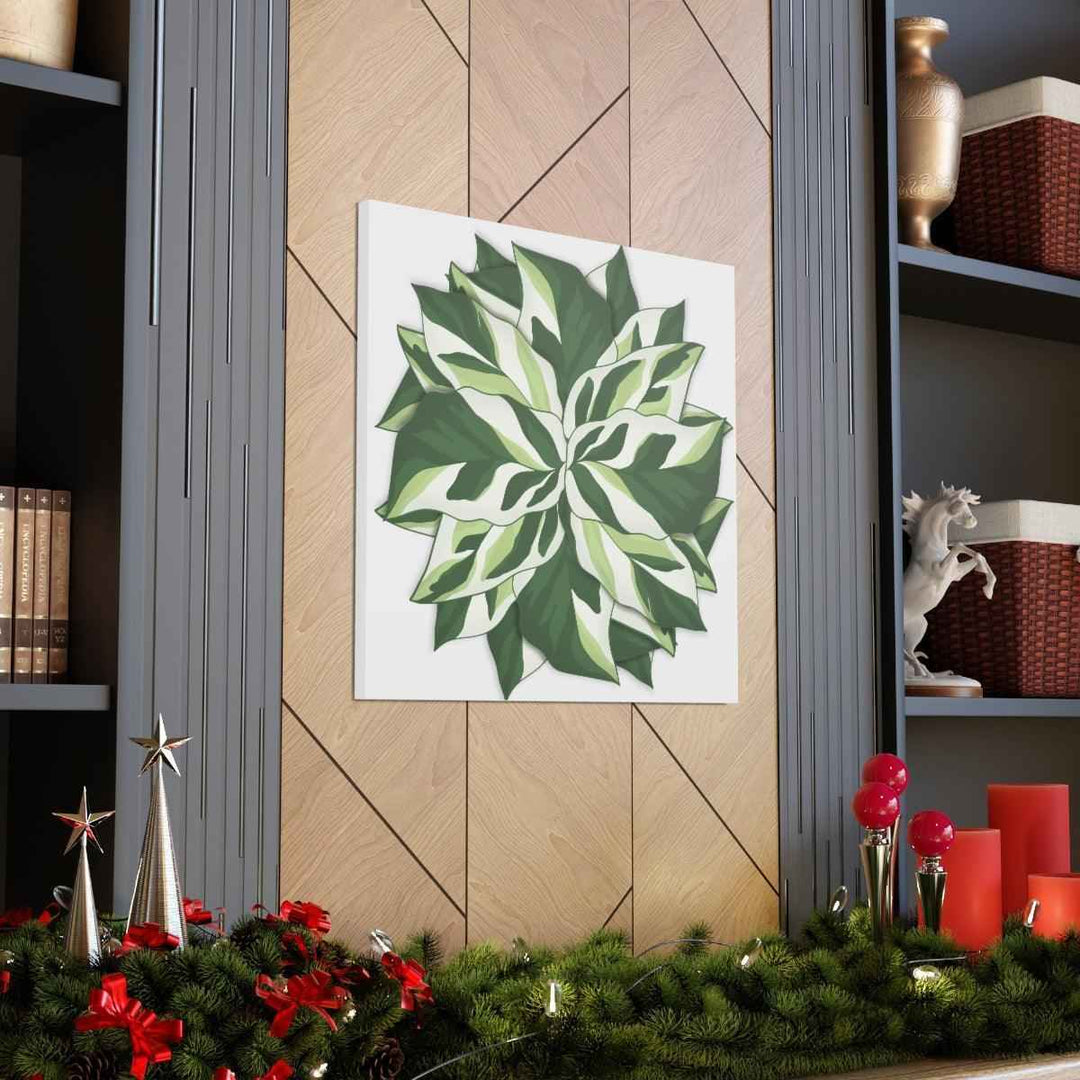 Calathea White Fusion Canvas | Indoor Wall Art - Matte Finish Botanical Canvas Art Print
