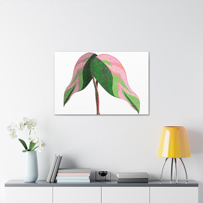 Pink Princess Philodendron Canvas