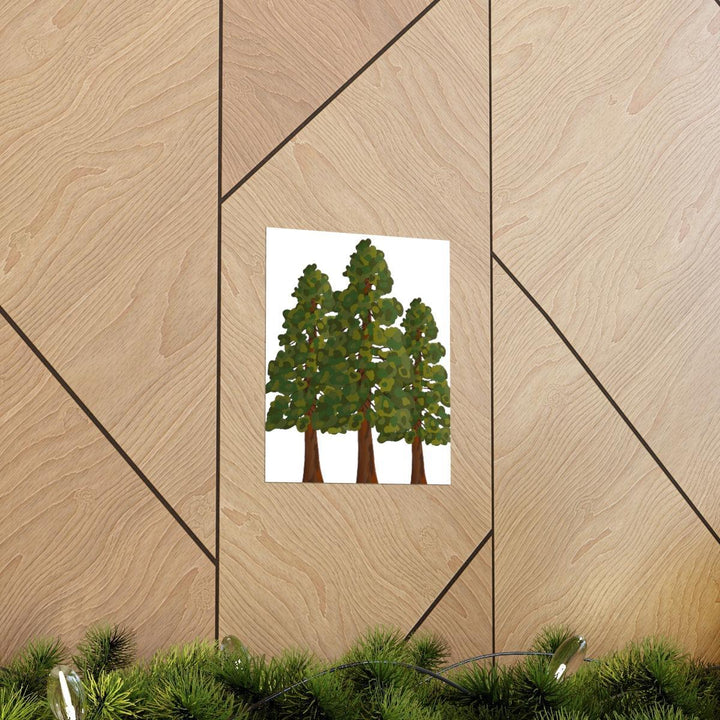 Coastal Redwoods Print, Poster, Laura Christine Photography & Design, Back to School, Home & Living, Indoor, Matte, Paper, Posters, Valentine's Day promotion, Laura Christine Photography & Design, laurachristinedesign.com