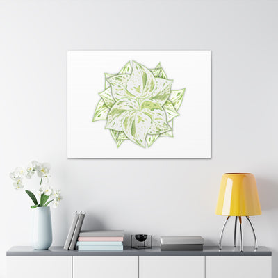 Snow Queen Pothos Canvas