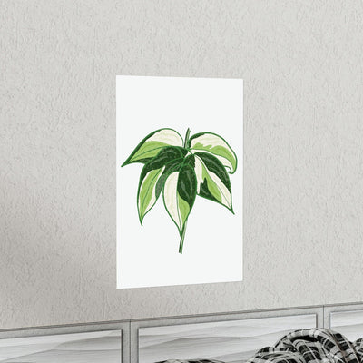 Philodendron 'Cream Splash' Print, Poster, Printify, Back to School, Home & Living, Indoor, Matte, Paper, Posters, Valentine's Day promotion, Laura Christine Photography & Design, laurachristinedesign.com