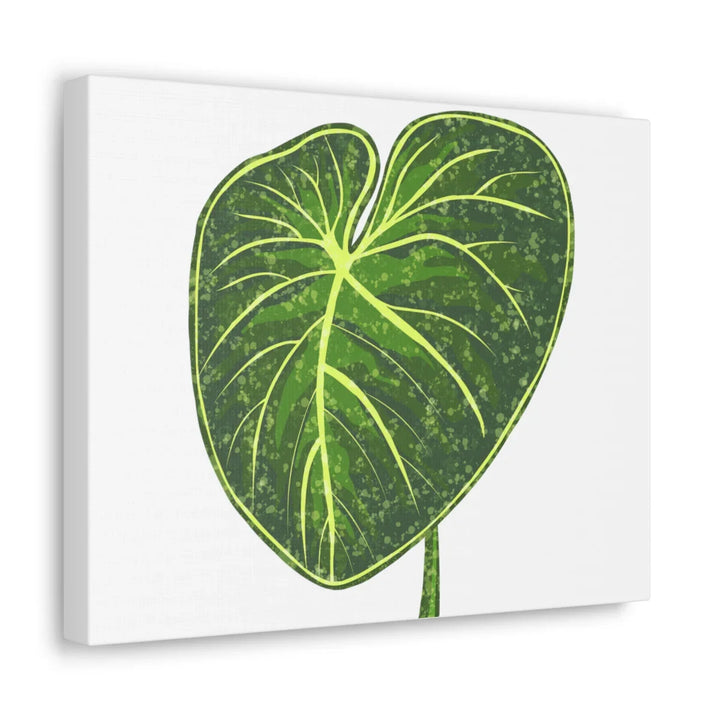 Philodendron Gloriosum Canvas - Stretched Canvas Art Print | Matte Indoor Wall Art - Laura Christine Photography & Design