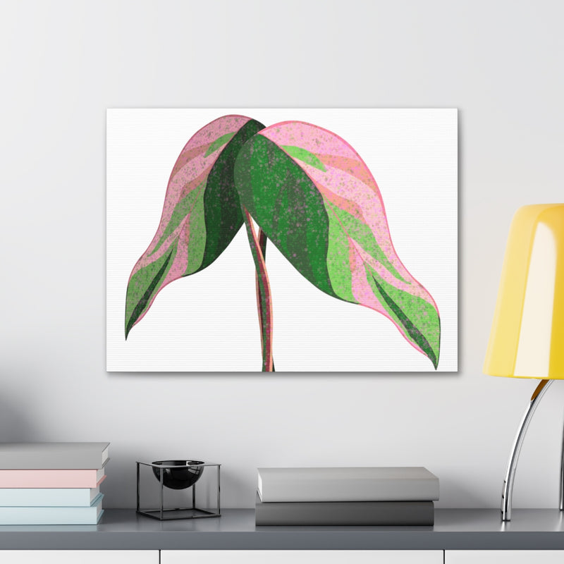 Pink Princess Philodendron Canvas