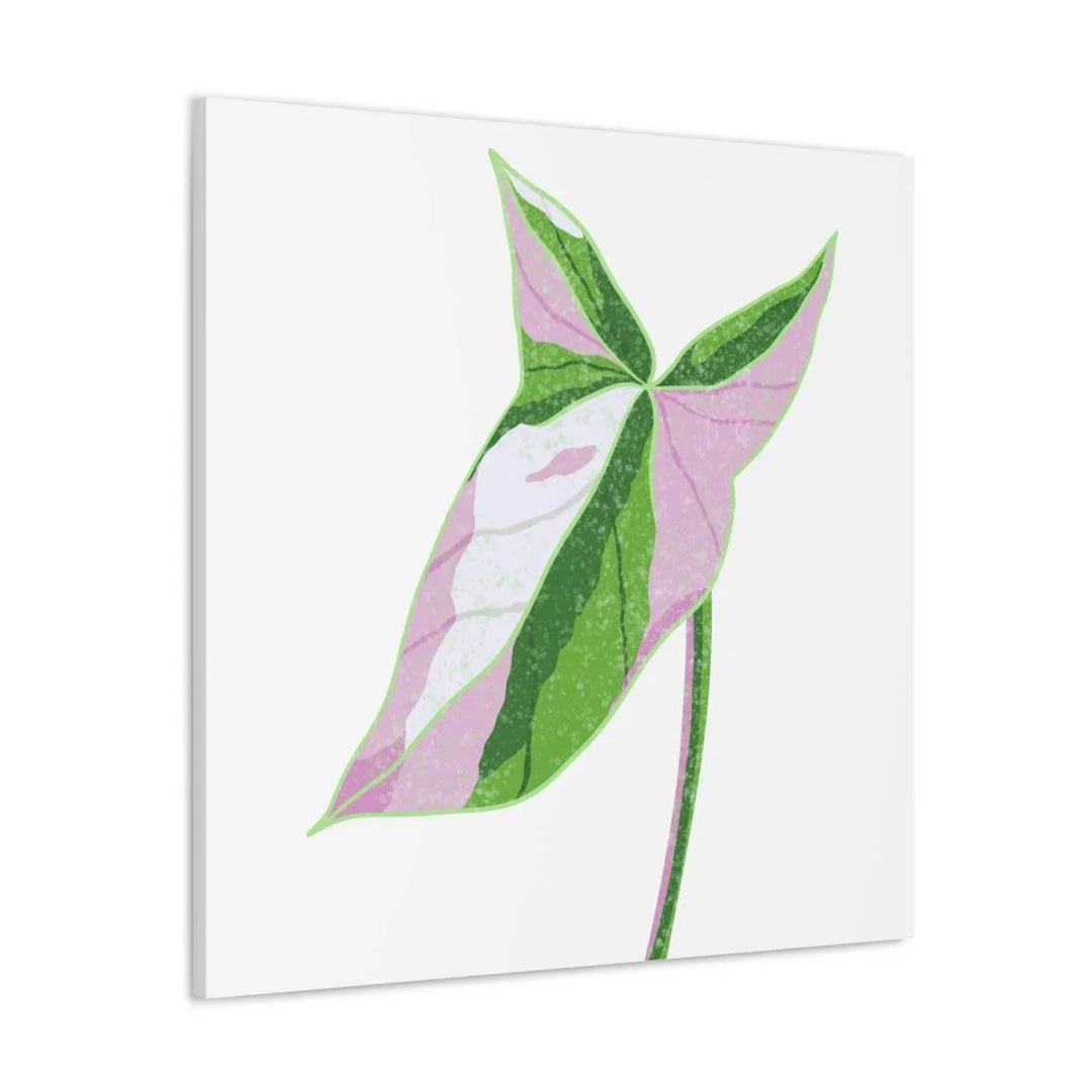 Syngonium Tricolor Canvas | Botanical Canvas Art Print With Matte Finish - Laura Christine Photography & Design