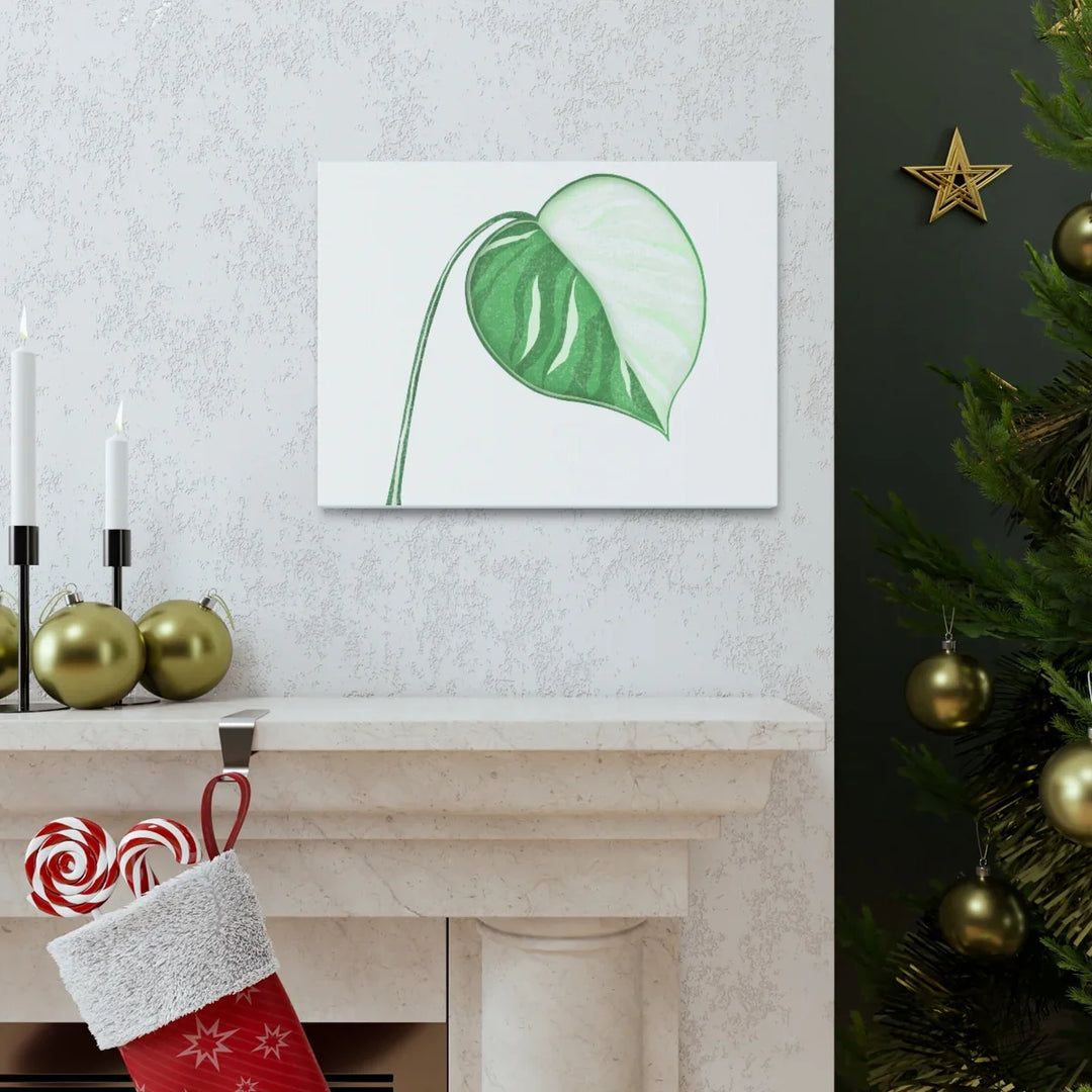 Monstera Albo Canvas | Large Tropical Leaf Artwork - Matte Finish Canvas Art Print - Laura Christine Photography & Design