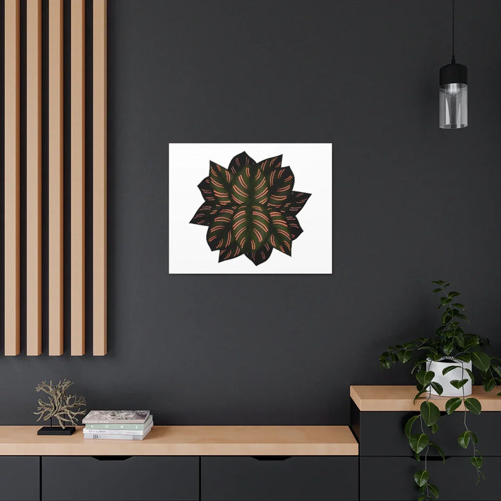 Calathea Pinstripe Canvas – Botanical Canvas Art Print | Matte Finish Wall Decor