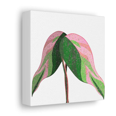 Pink Princess Philodendron Canvas, Canvas, Laura Christine Photography & Design, Art & Wall Decor, Canvas, Hanging Hardware, Home & Living, Indoor, Laura Christine Photography & Design, laurachristinedesign.com