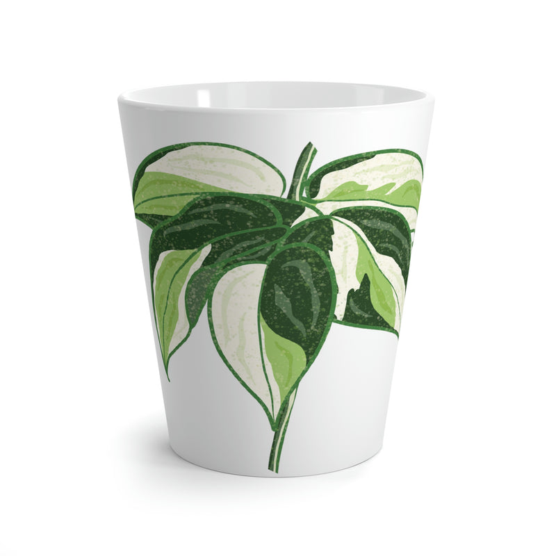 Philodendron &