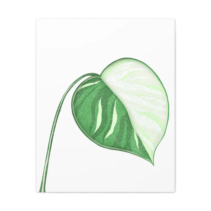 Monstera Albo Canvas | Large Tropical Leaf Artwork - Matte Finish Canvas Art Print - Laura Christine Photography & Design