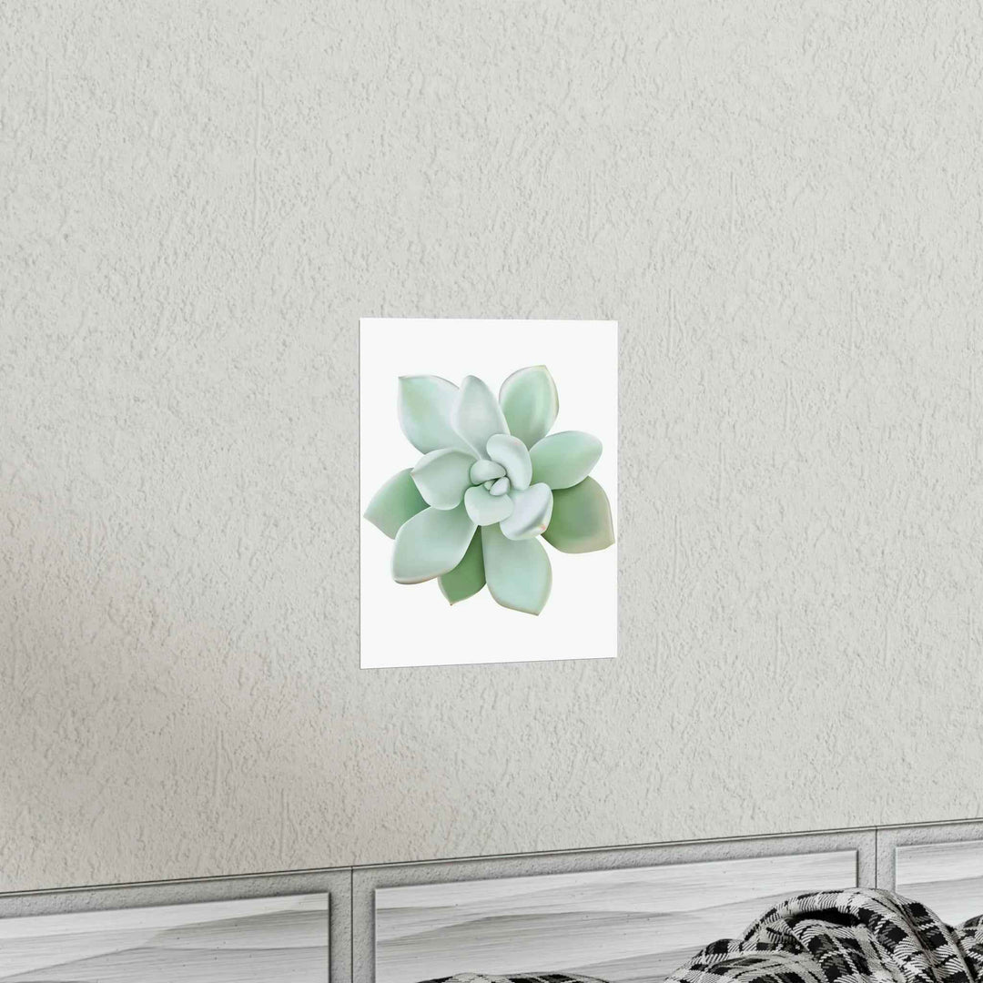 POS Pachyveria Print