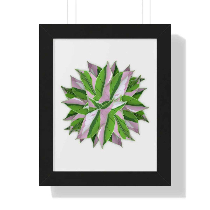 Syngonium Tricolor Print - Framed Botanical Art With Matte Finish & Acrylic Cover