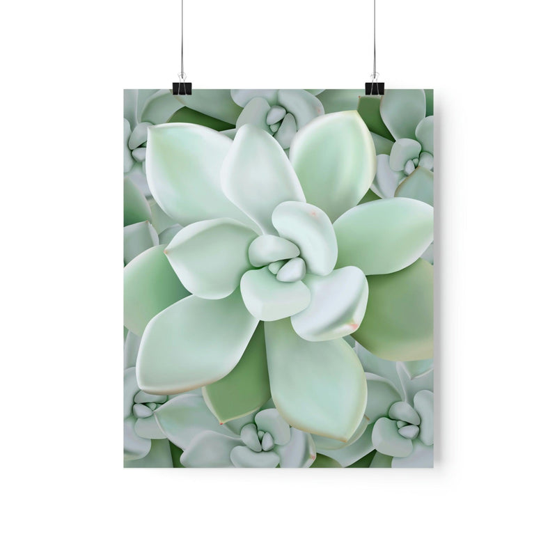 Pachyveria Haagei Succulent Pattern Print, Poster, Printify, Back to School, Home & Living, Indoor, Matte, Paper, Posters, Valentine&