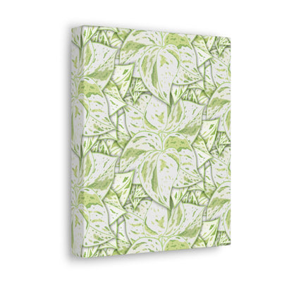 Snow Queen Pothos Canvas