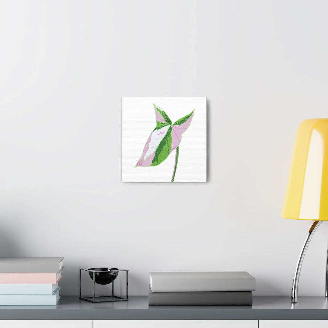 Syngonium Tricolor Canvas | Botanical Canvas Art Print With Matte Finish - Laura Christine Photography & Design