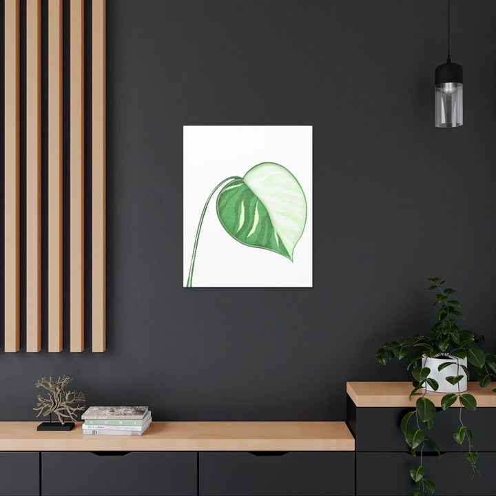 Monstera Albo Canvas | Large Tropical Leaf Artwork - Matte Finish Canvas Art Print - Laura Christine Photography & Design