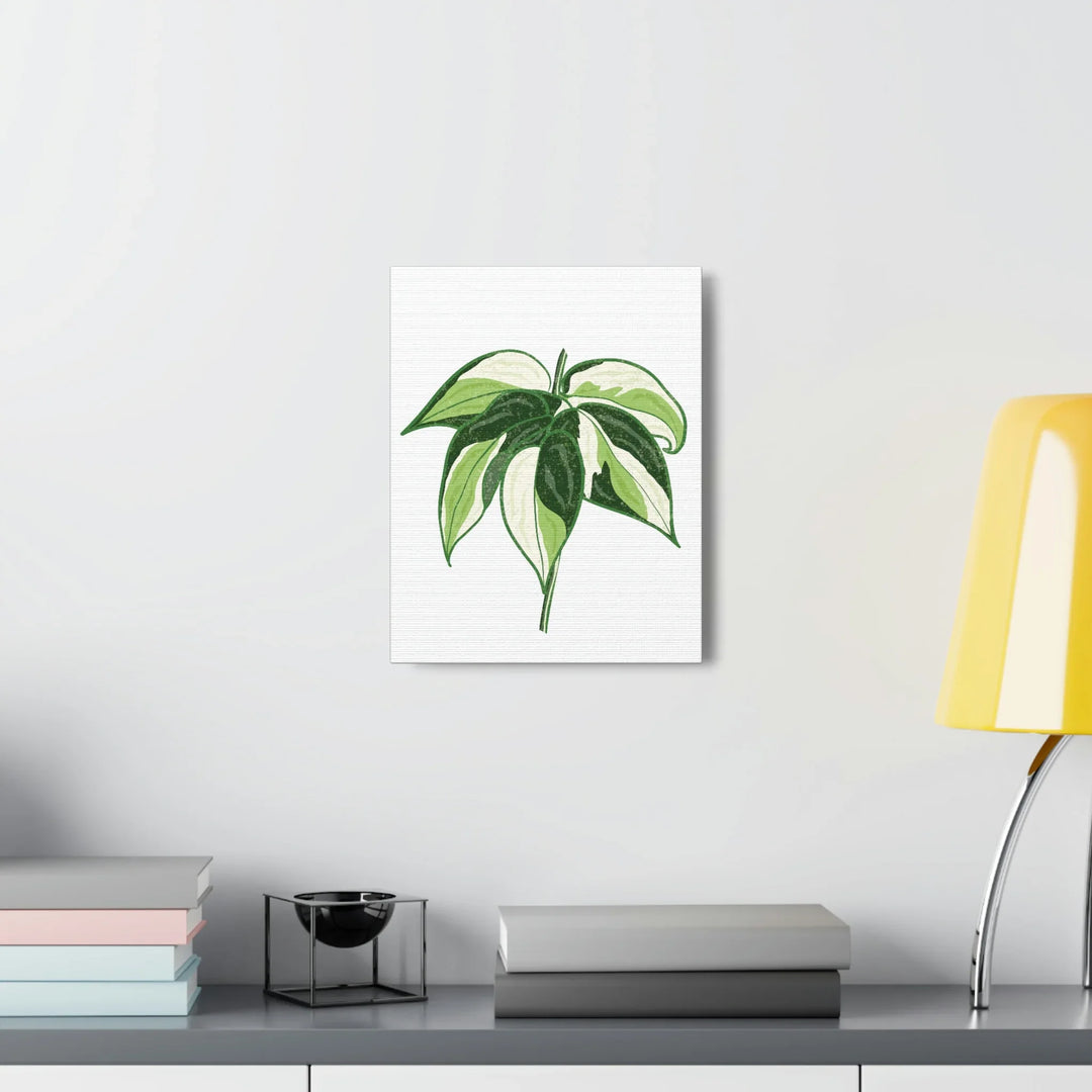 Philodendron Canvas Print - Cream Splash Variegated Plant Art on Matte Cotton Canvas